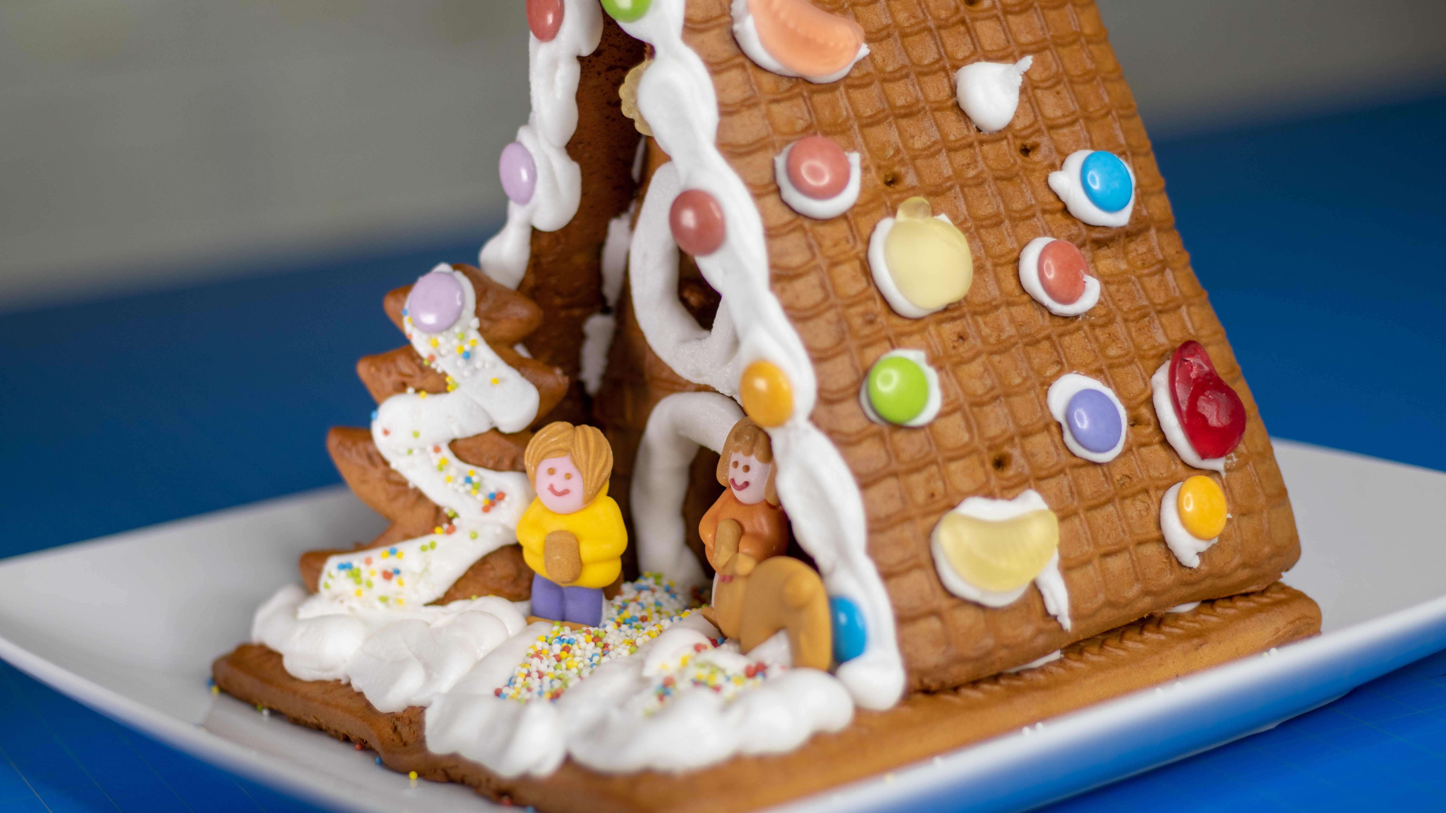 Trader Joe’s Gingerbread House Kit Handmade Holidays Sewing Report